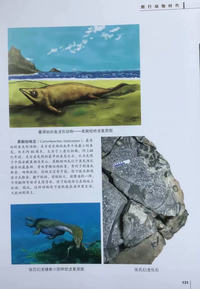 地球生物发展史上是生存环境大剧变生物大灭绝促成了生物大进化8