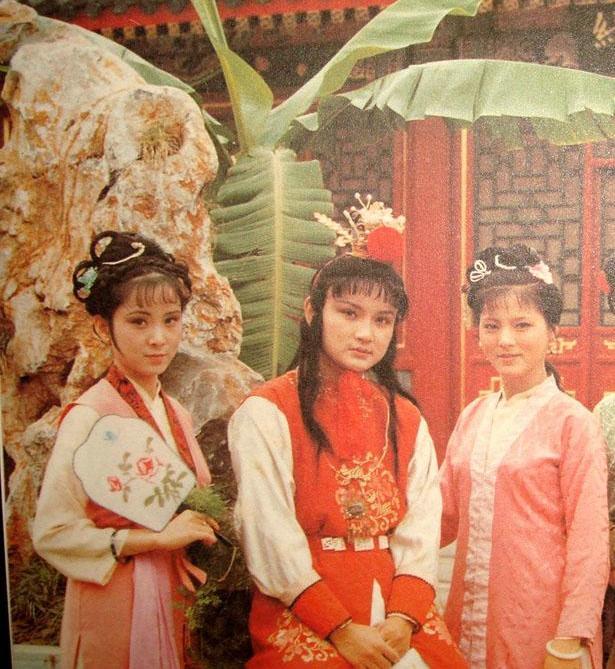 袭人|绮丽红楼，春梦一场：袭人那些说不出口的心思