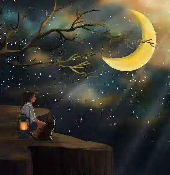 晨曲舒曼梦幻曲童年情景