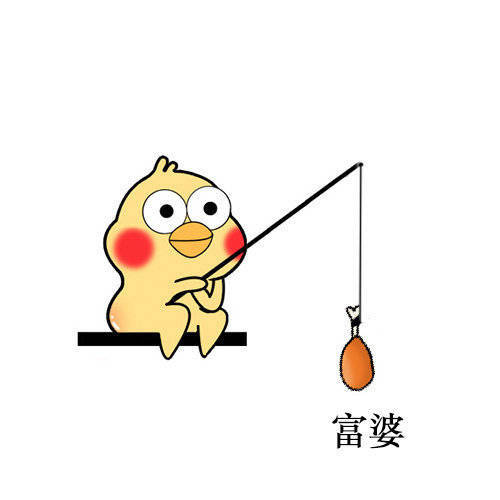 表情包猫鹦鹉兄弟钓富婆