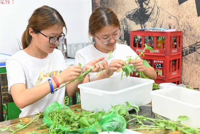 河南双胞胎女大学生勤工俭学,吃苦耐劳受赞扬,老板主动涨薪