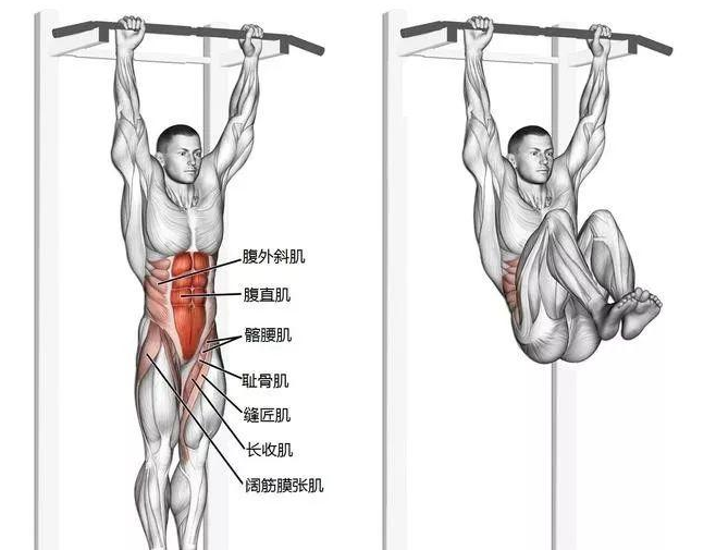 悬垂举腿这4个细节错了 大多数人都练不到腹肌 白瞎了好动作