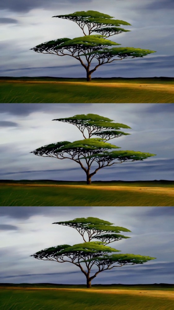 超美的动画壁纸 打个雷都那么好看