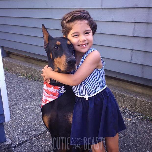 公主有何吩咐?帅气杜宾犬管家陪伴小女孩一同长大