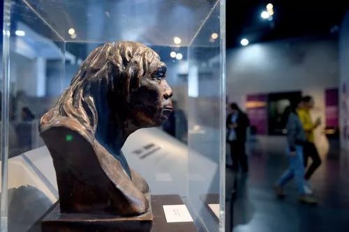 700万年前人猿相揖别我们的老祖宗是他吗