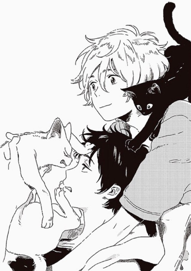 动漫图片,骑着男孩射箭的美少女