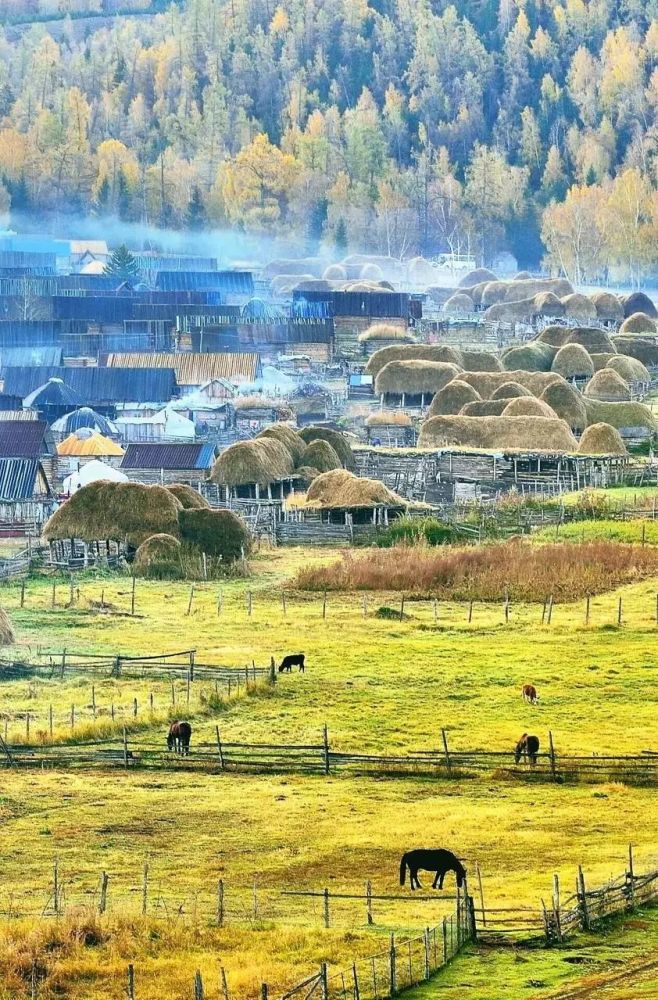 中国秋天开始的地方 满足你所有的秋日幻想