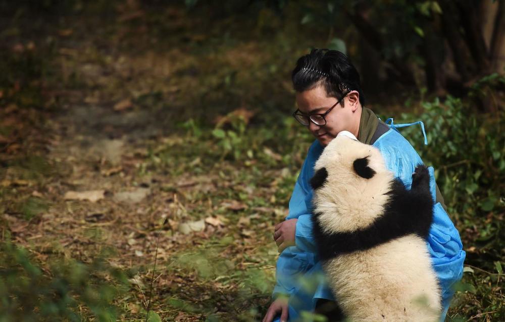江左梅梅:令全世界都嫉妒的女人,她夺走了所以