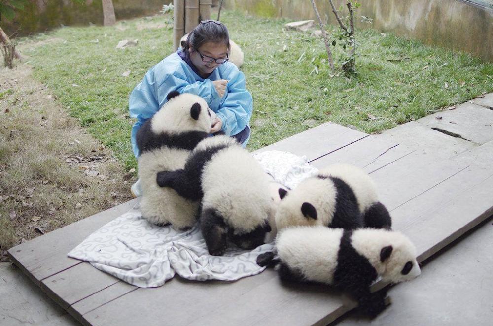 江左梅梅:令全世界都嫉妒的女人,她夺走了所以