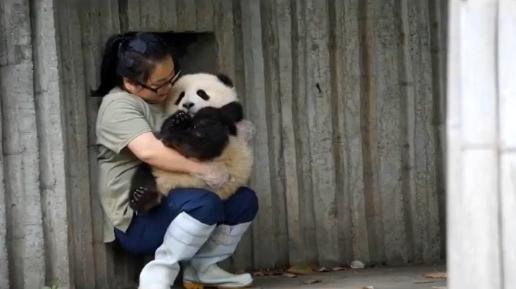 江左梅梅:令全世界都嫉妒的女人,她夺走了所以