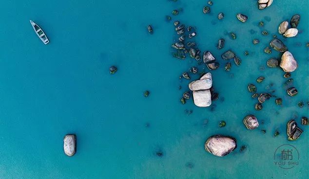 情绪稳定,沉着冷静