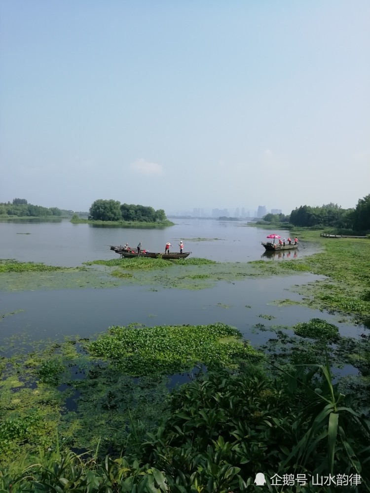 蠡湖國家溼地公園長廣溪溼地公園