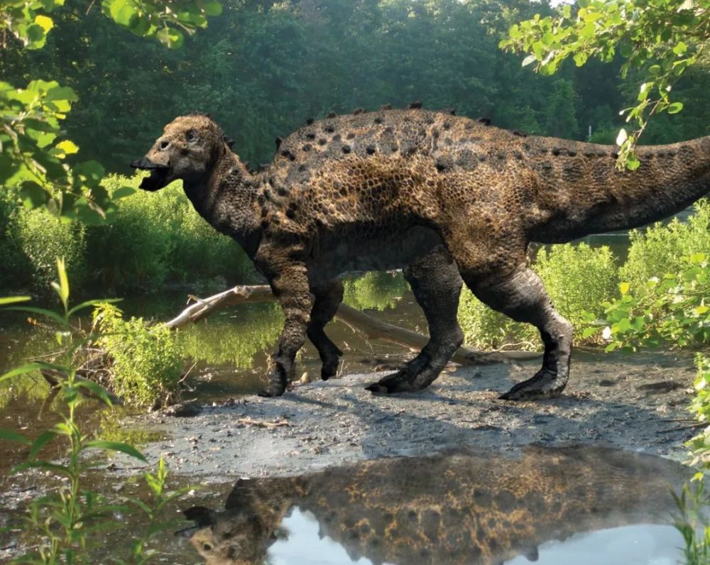 史前巨兽埃德蒙顿龙