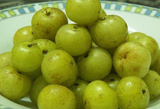 就拿今天咱们要说的一种野果"余甘果"来说,它的美容价值不可小觑!