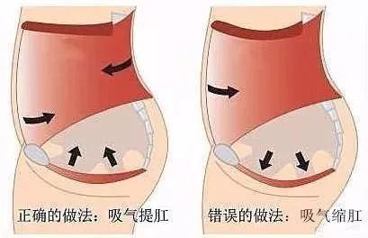 合上双眼.3,按正常情况呼吸,收缩肛门的括约肌.