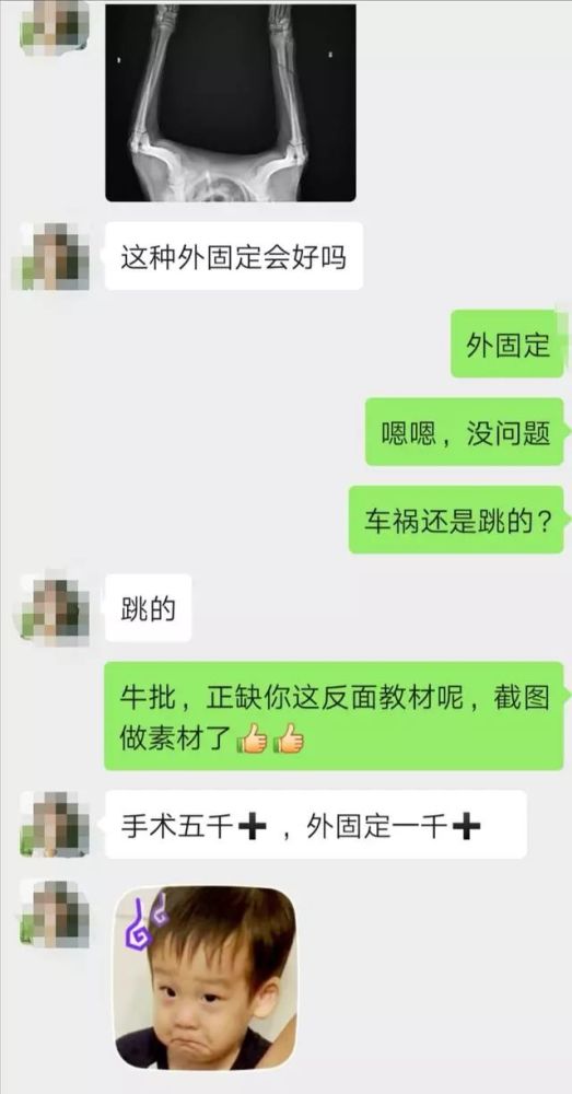 小小狗跳个沙发骨折了 为什么现在的狗狗总是那么脆弱