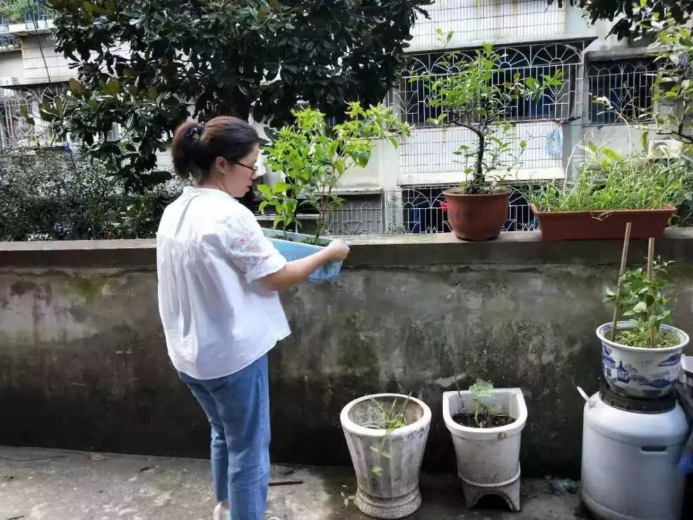 明楼街道计生协鄞州区8月11日一早,小港街道社会事务科主任龚仕东