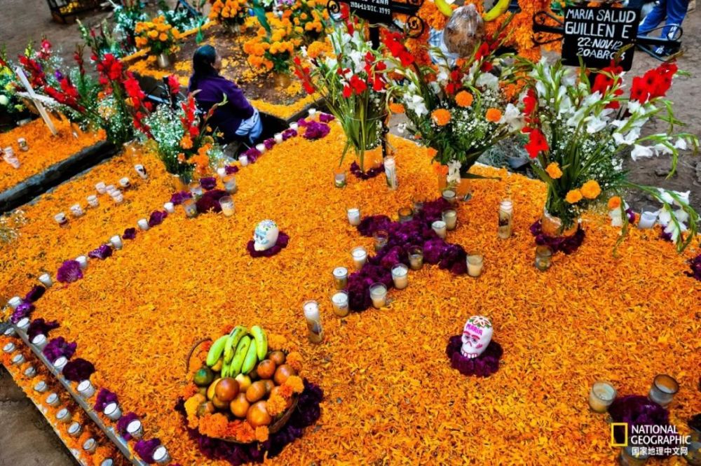 亡灵节期间,墨西哥人把万寿菊铺满墓地.