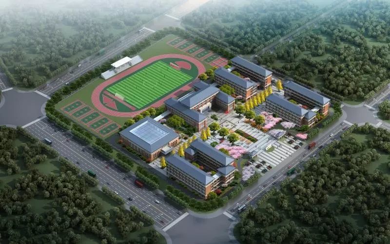 枞阳这所学校的选址出来了快来看看在哪里