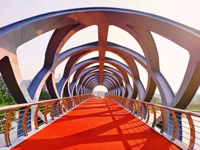 快去打卡!庐陵文化生态园6号桥正式开放通行啦!