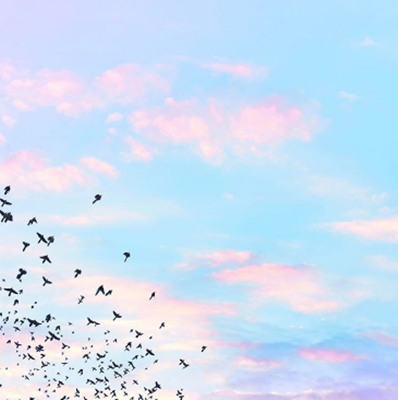 原宿系 仙女味 神仙背景图 养一个甜甜的我吧 保证很乖 腾讯新闻