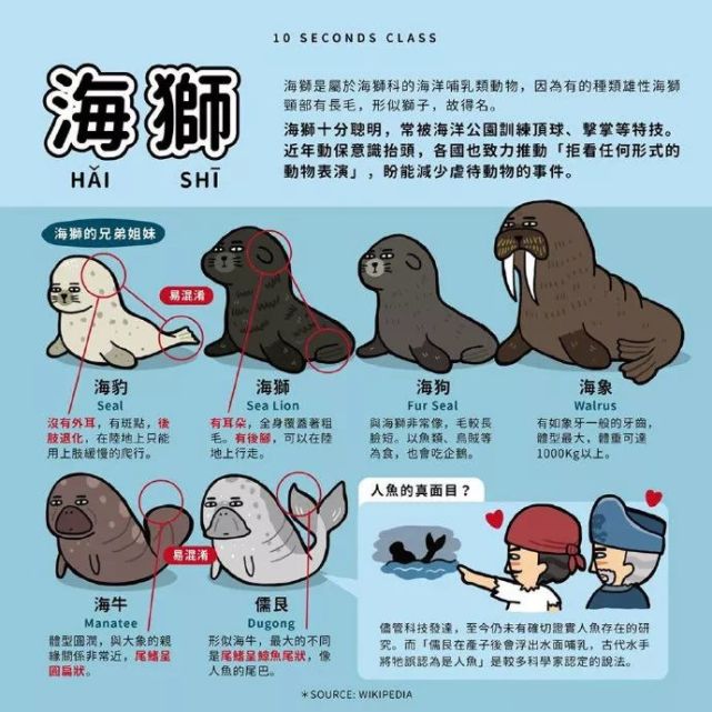涨姿势了看完你分清了吗