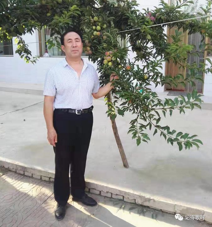 山西李海山香椿情