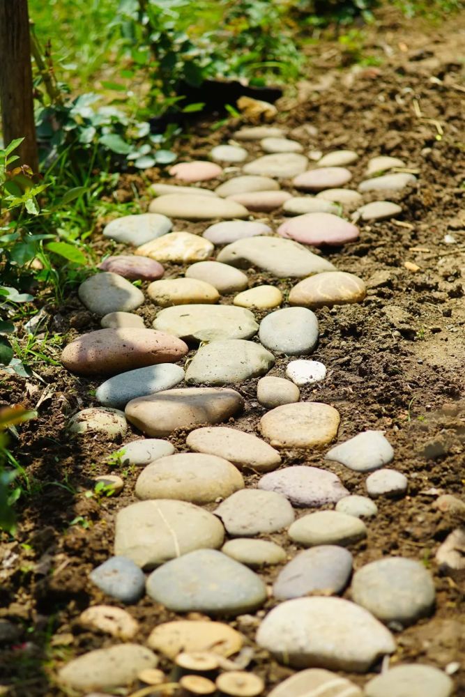 晓韵田园的小径,延伸了花园的空间和遐想