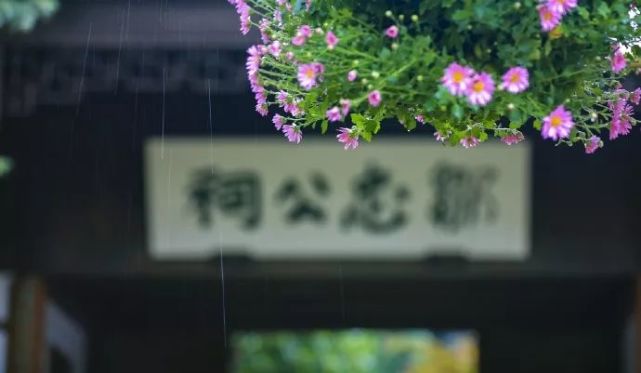 秋来伏未去 十首诗中觅清凉