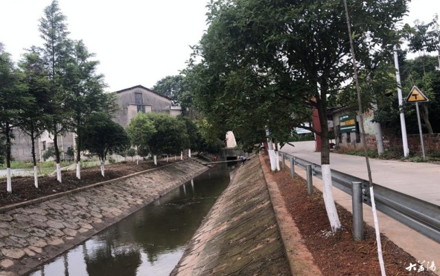 益阳南县茅草街镇人居环境整治开启乡村"美颜"模式