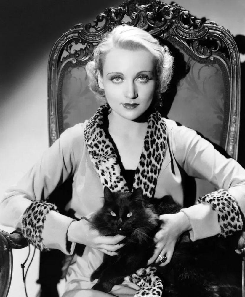 这件野性外衣就很符合它的气质