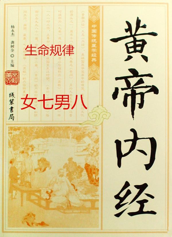 女七男八的生命周期 你的年龄在哪一个阶段