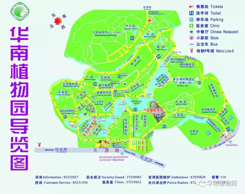 荷花玉蕊红球姜华南植物园八月繁花已绽放