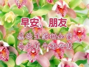 早上好問候語圖片大全帶字帶祝福清晨超漂亮早上好表情壁紙