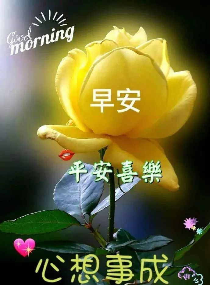 6月30日问候早上好图片带字动态表情早上好图片问候祝福语句子