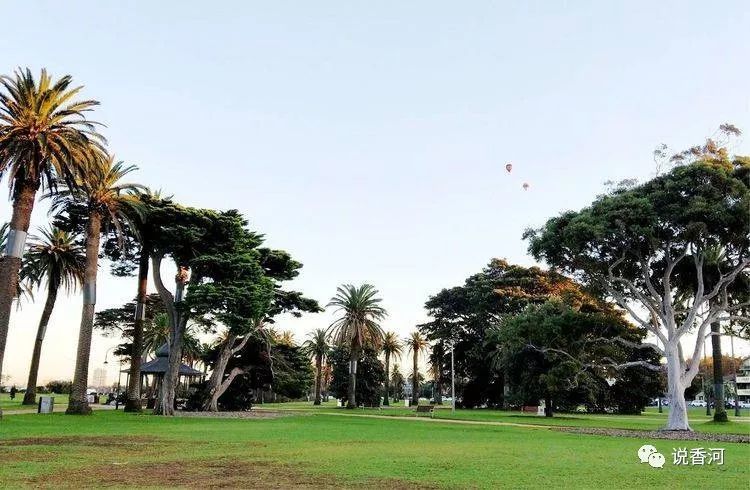 香河二中一位老校长澳洲游记之十一