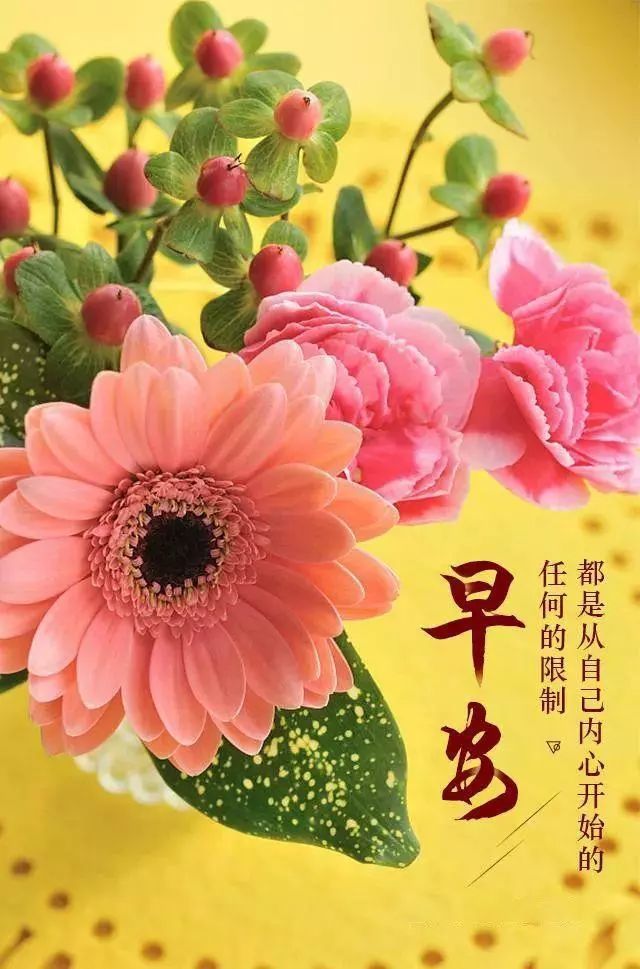 朋友圈很火的早上好励志经典正能量句子 朋友圈最新早安最美图片问候