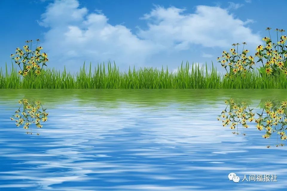 星云大师:身心安稳 从清净三业中来