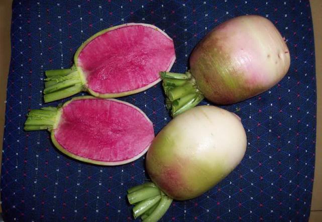 为什么萝卜心会变色原来是这个原因