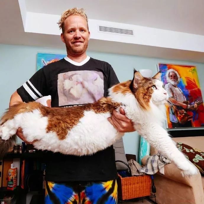 就要买能改善婆媳关系的,一厨一卫一跑道@我和基友的日常害羞的猫鼬