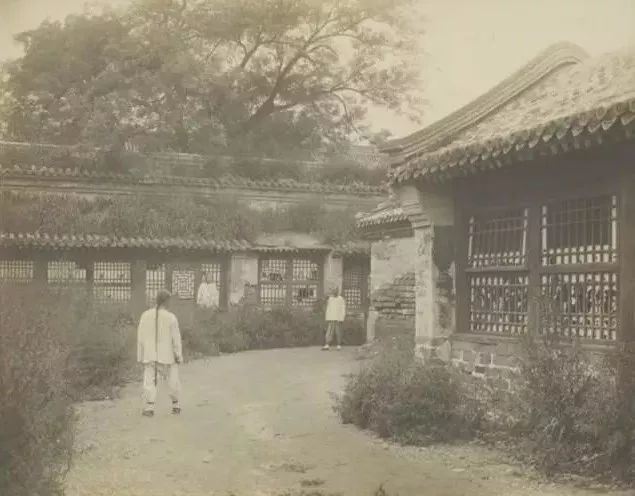 紫禁城|1901年的紫禁城