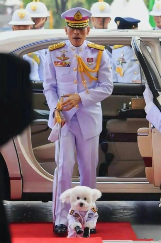200多佳丽,封狗做元帅,泰王的荒唐生活|泰国_历史|玛哈·哇集拉隆功