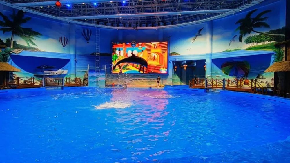 青海人打卡新去处新华联童梦乐园欢乐开启视频vr带你先睹为快