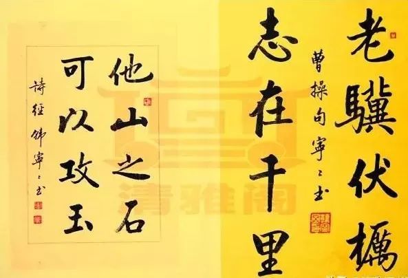 中国书法家协会|再见中书协美女韩宁宁精品书法，端庄严谨，精瘦风骨，书坛之脊梁