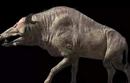 巨猪 巨猪,是主动猎食的动物,因为有足以压碎骨头的巨大牙齿,捕猎方法