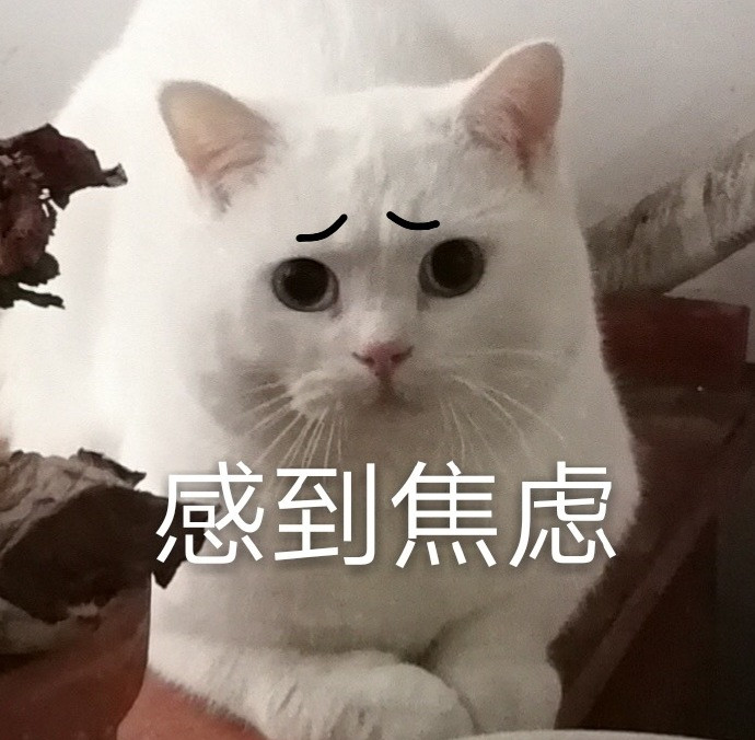 不堪一击好不好,我有多坚强