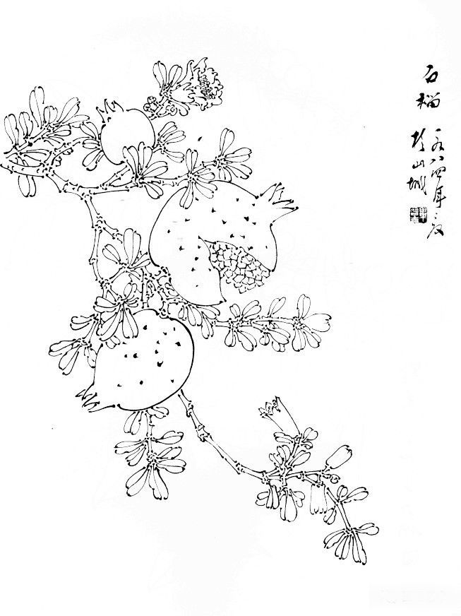 值得好好观摩的30幅蔬菜水果白描稿