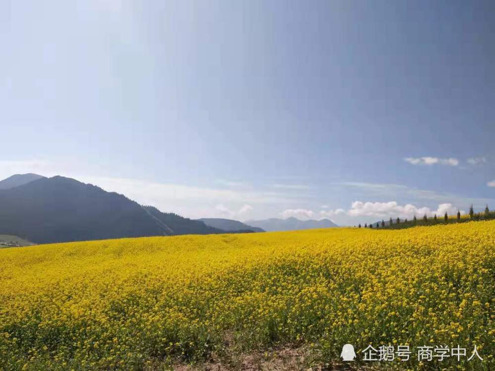 沿途最美 风景在路上 从祁连山到月牙泉