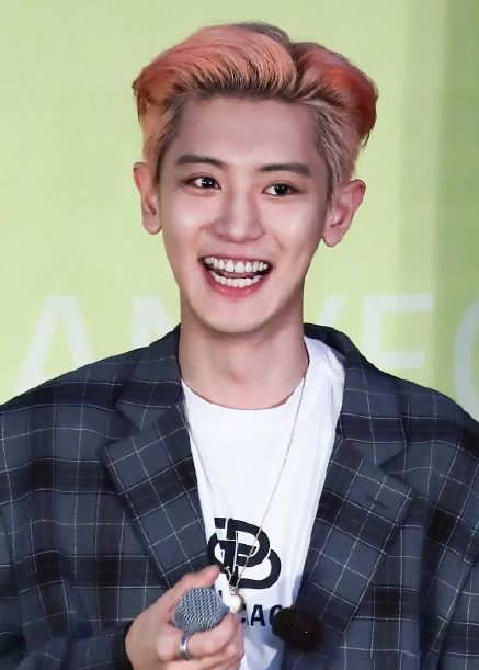 韩国艺人的理想型,朴灿烈喜欢dara,loco喜欢华莎