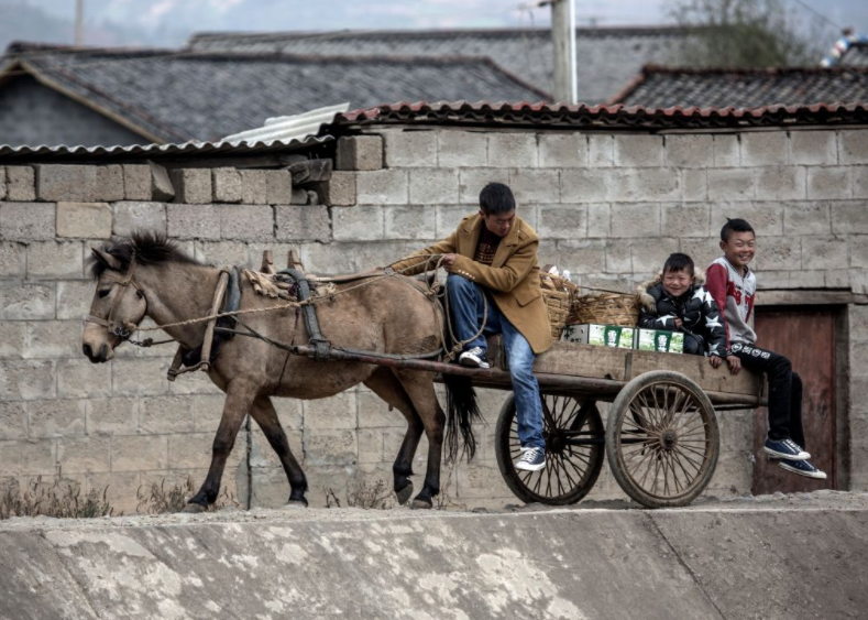 前面几匹马,后面一个两轮的马车,然后车夫坐在马车前面赶车,不知道你